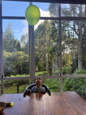 Garden view 1