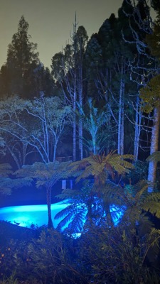 Garden view 2