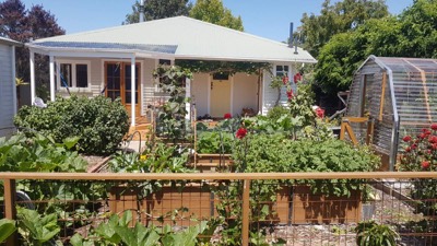 Garden view 1