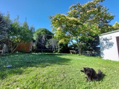 Garden view 2