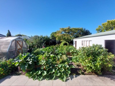 Garden view 3