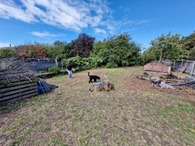 Garden view 2