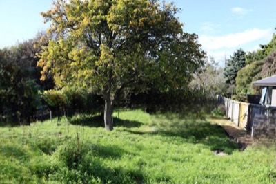 Garden view 3